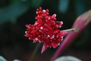 2025-01155995 Tower Hill Botanic Garden, MA